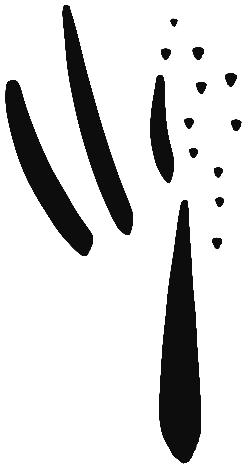 Image of the occurrence